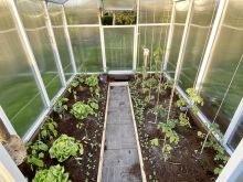 Skleníky Rajče PREMIUM (3)